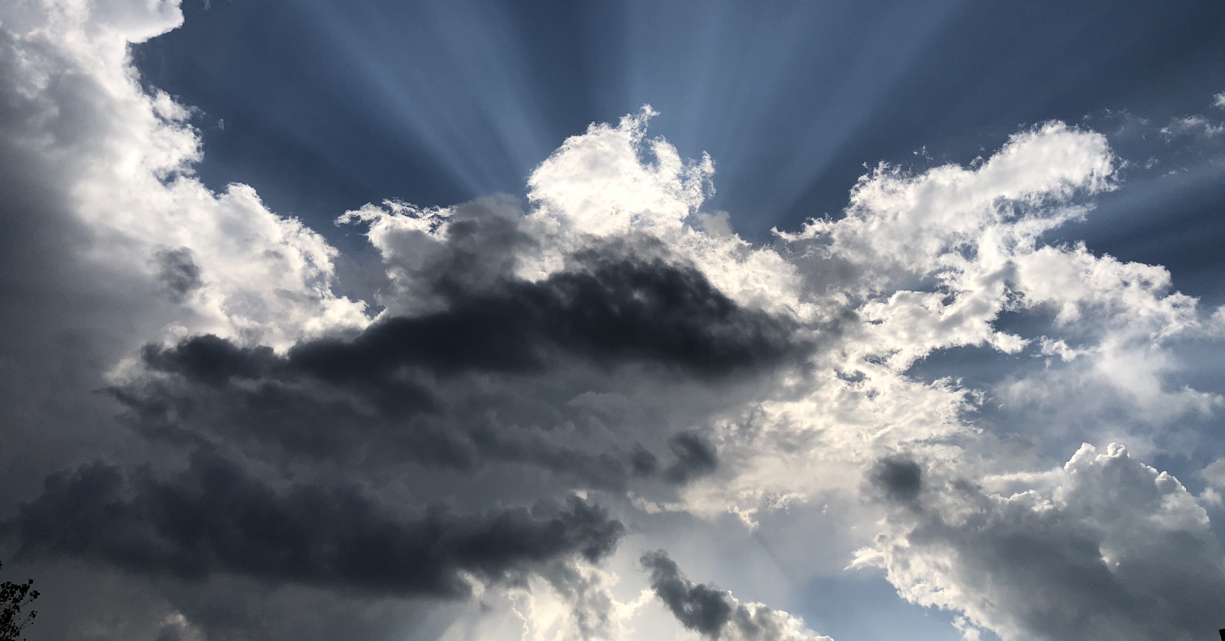 Silver Lining Discovered During the Crisis