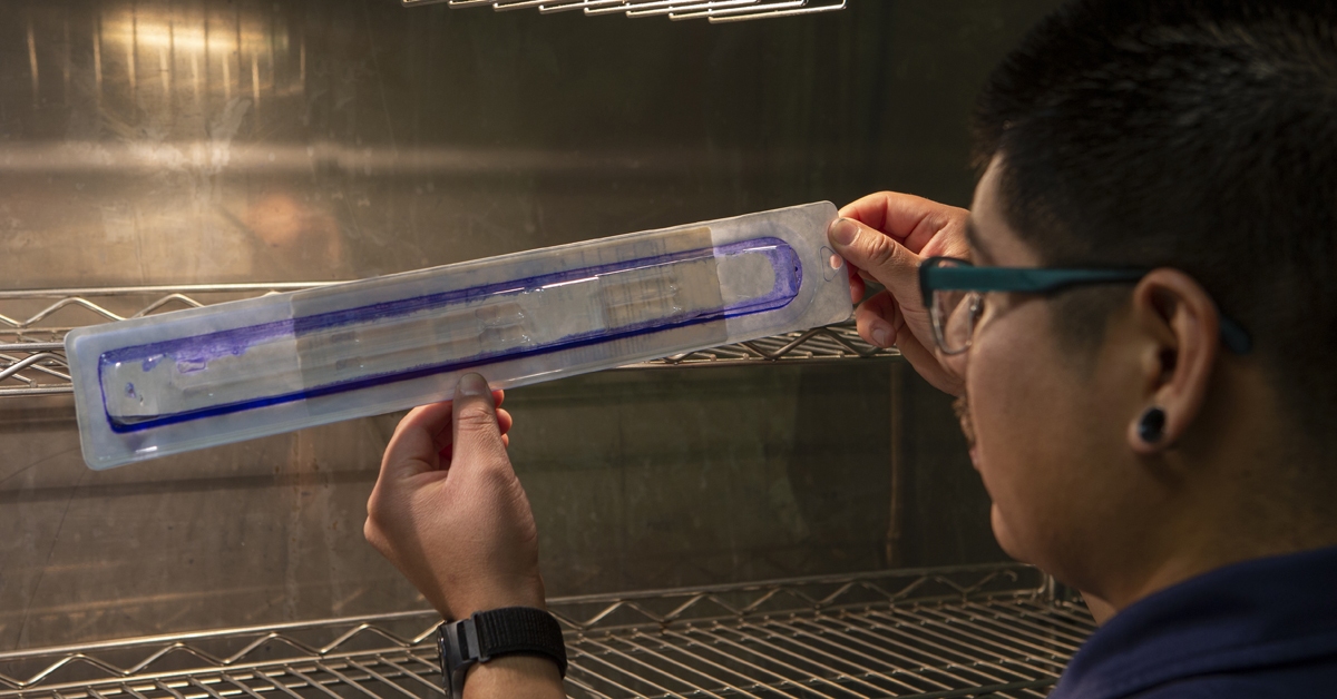 ASTM F1929 Was Updated - Here’s What Changed